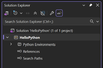 Screenshot des neu erstellten leeren Python-Webprojekts im Projektmappen-Explorer.