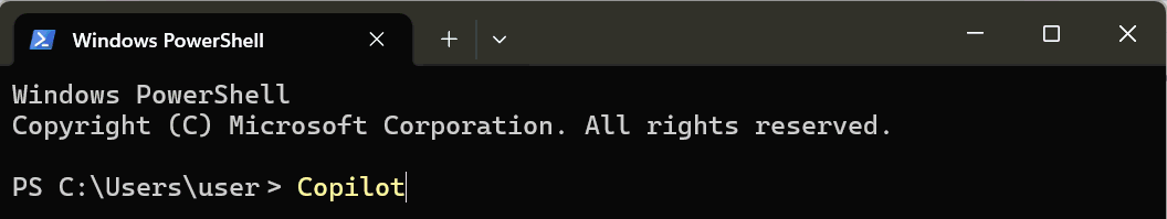 Screenshot of a Windows PowerShell terminal.