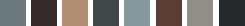 Screenshot of the color sequence for the Accessible neutral theme.