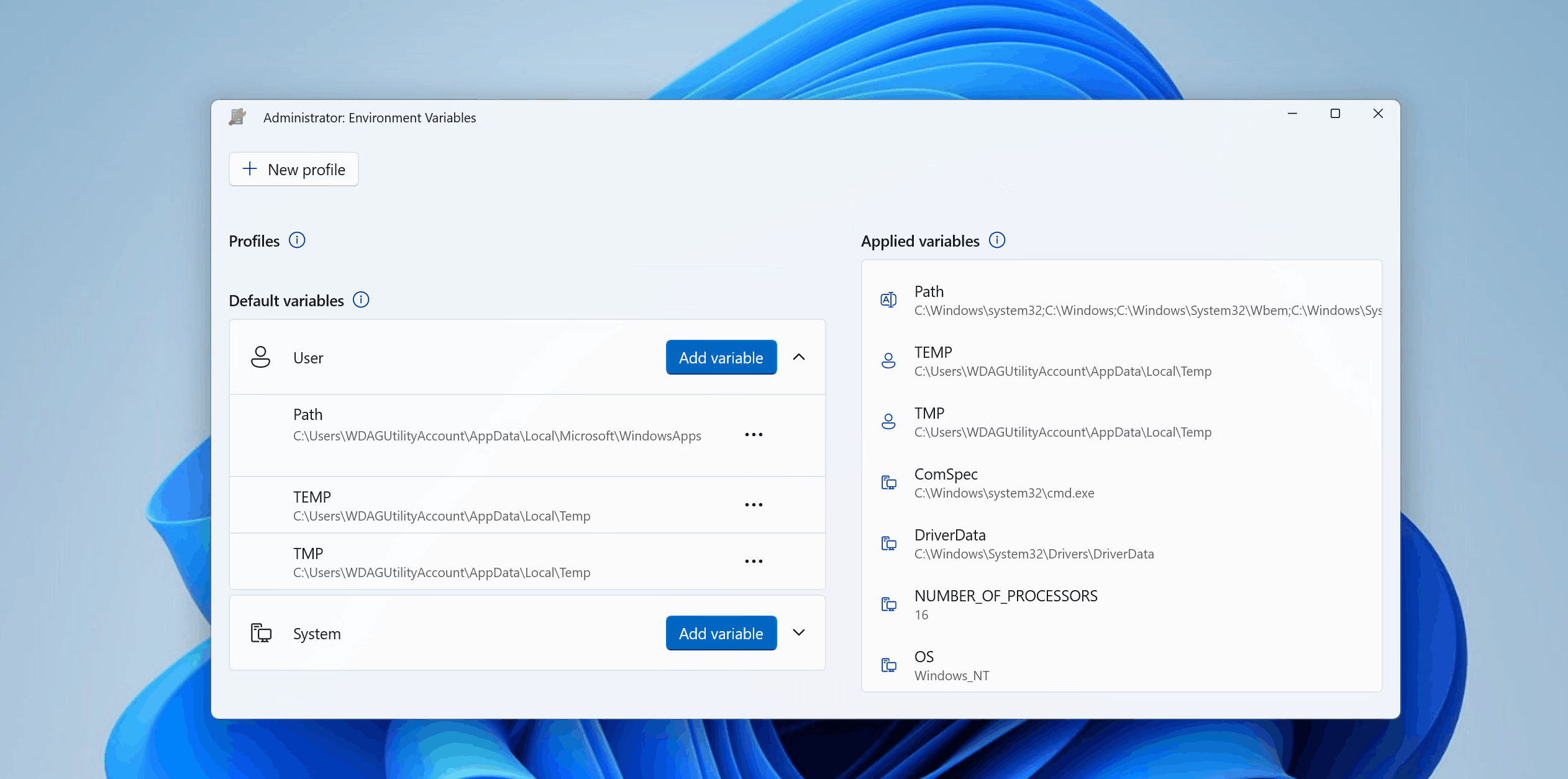 Screenshot of creating a new profile in PowerToys Environment Variables with variable configuration.