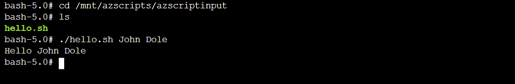 Schermata dell'output del test dello script di distribuzione istanza di contenitore visualizzato nella console.