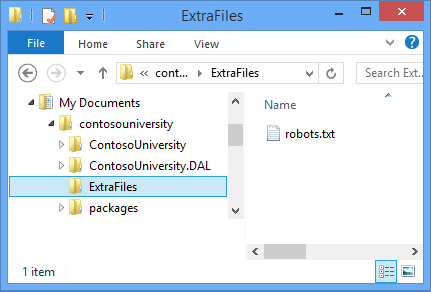 ExtraFiles フォルダー