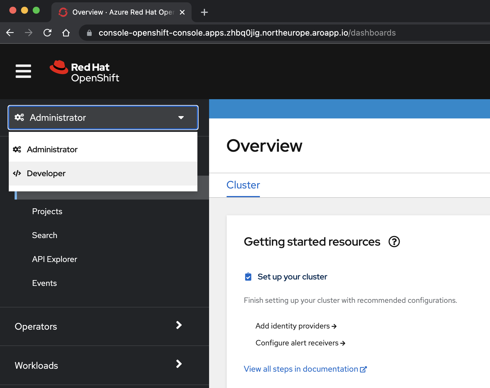 OpenShift 控制台开发人员视图的屏幕截图。