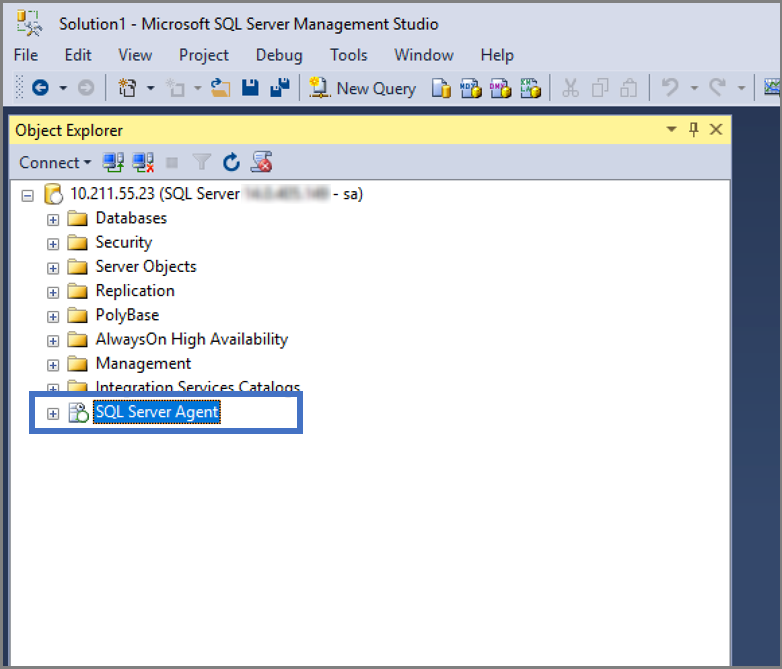 Screenshot 演示如何验证是否已安装SQL Server Agent.
