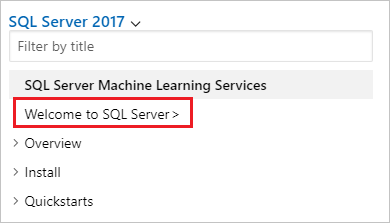 显示用于导航回 SQL 文档目录的选项的屏幕截图。